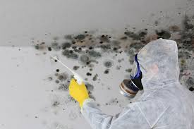 Best HVAC Mold Inspection and Cleaning  in Dilworthtown, PA